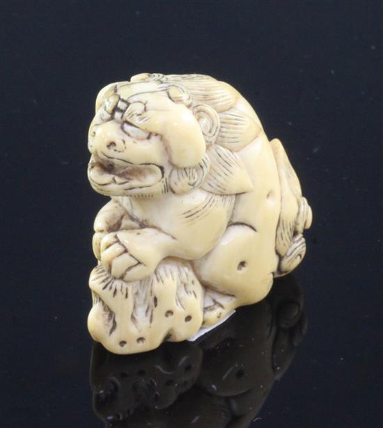 A Japanese ivory netsuke of a shi-shi, Edo period, 3.6cm